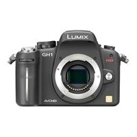 Panasonic Lumix DMC-GH1 Body