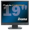 Iiyama ProLite E1902S
