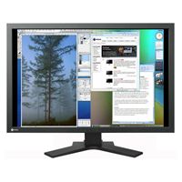 Eizo FlexScan SX3031WK