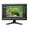 Eizo ColorEdge CG241W