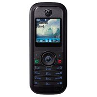 Motorola W205