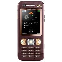 Sony-Ericsson  W890i