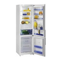 Gorenje RK 65365 W