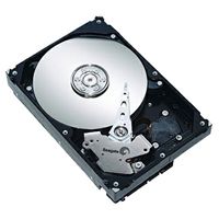 Seagate ST31000333AS