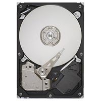 Seagate ST31000340NS