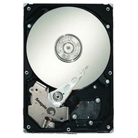 Seagate ST31000640SS