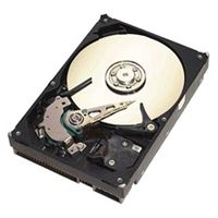 Seagate ST3160215A