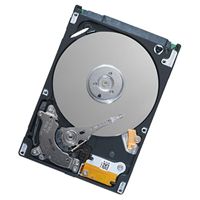 Seagate ST9250421AS