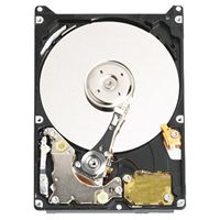 Western Digital WD1200BEVE