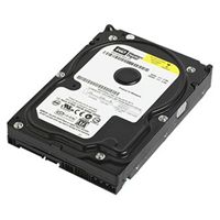 Western Digital WD2500AAJS