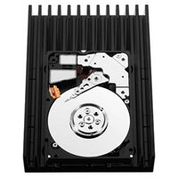 Western Digital WD3000GLFS