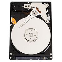 Western Digital WD3200BJKT