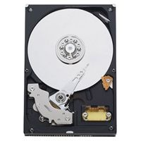 Western Digital WD5000AAKB