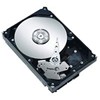 Seagate ST310005N1D1AS