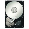 Seagate ST31000640SS