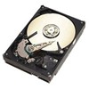 Seagate ST3160215A