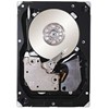 Seagate ST3300656SS