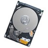 Seagate ST9160310AS